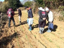 $自然豊かな三浦半島から　　　お届けする♪ 　　　　　　　　　『三浦の小麦 プロジェクト　　　　～めざせ小麦300ｋｇ～』