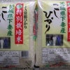 【お米キター】カスミの画像