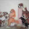 獣医さま～<（__）>の画像