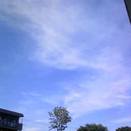 サリー日記-空①