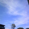 SORAの画像