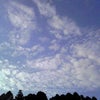 雲の綺麗な朝です！の画像
