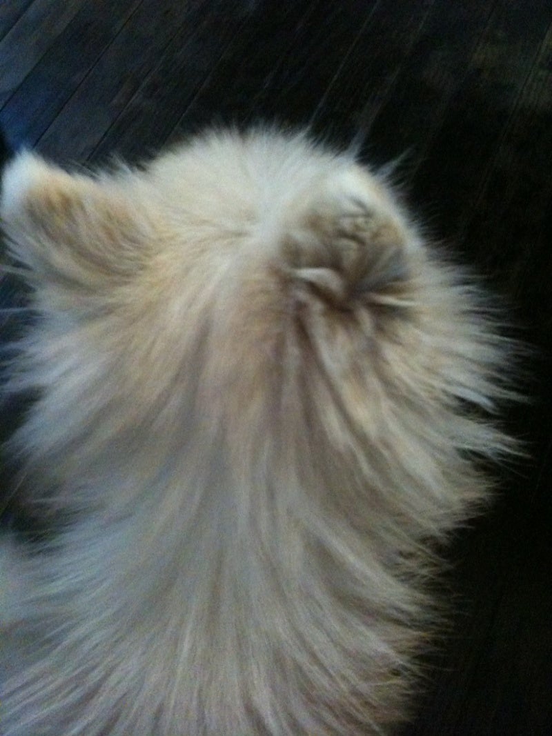 photo:01