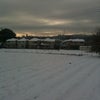 雪の朝の画像