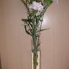 お花で安らぎをの画像