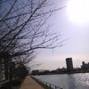昼休み川沿いをの画像