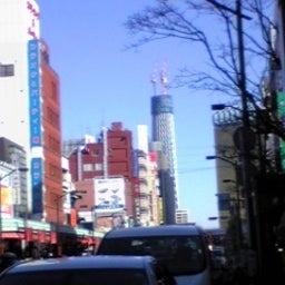 ハチブログ-IMG_0083.jpg