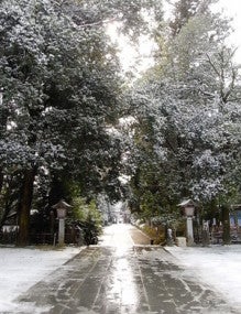 トリメモ-八幡の雪
