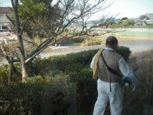 桜島と焼酎と開発の日々