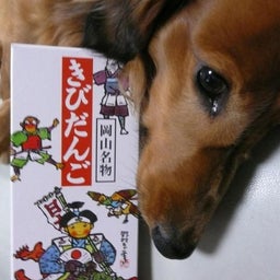 まっくの wanだふる　Life