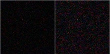たらちゃんの天体観測-L_x3_16c_120s_ISO1600_3200
