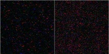 たらちゃんの天体観測-L_x2_x3_27c_120s_ISO1600