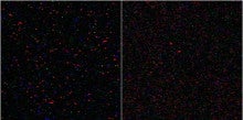 たらちゃんの天体観測-L_x2_x3_16c_300s_ISO1600