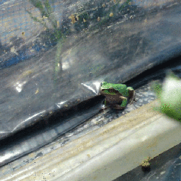 ＭＡＤ†ＲＯＬＬＥＲ：ＢＬＯＧ border=