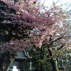 最近みつけた「春」の画像