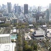 東京タワーに登ろう！　景色　編の画像