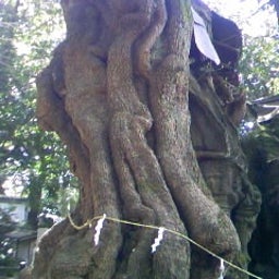 babyまちコンブのブログ-100322_110336.JPG