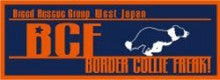 ボーダーコリーフリーク！-BCF_logo
