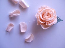 お花のある暮らし　プリザーブドフラワーのお教室「花冠はなかんむり」のブログ