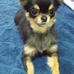 ☆☆☆JUN★LIFE☆☆☆-100331_141651_ed.jpg