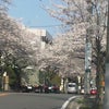 桜台の画像