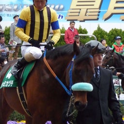 ウマキュン！！！-タケミカヅチと柴田善臣騎手.JPG