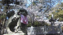 不思議旅行案内　長吉秀夫-狛犬と桜