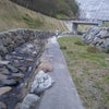 お休みの画像
