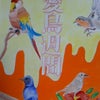 愛鳥週間の画像