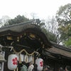 平野神社＠京都の画像