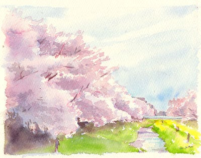 野川の桜並木 Mariの講座日記