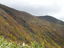 白神山地ツアーで能代山本地区の活性化すっぺ-白神岳3