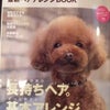 うちの子、雑誌デビュー♪の画像