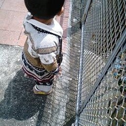 新★プチ森田家のブログ