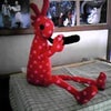 ココペリ♪の画像