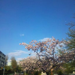 サリー日記-近所