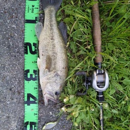 crazy-luremanさんのﾌﾞﾛｸﾞ-DVC00106.jpg