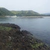 釣りの画像