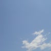 母の日の可愛いギフトの画像