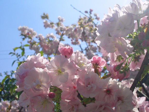 ②の記事画像