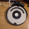 肌寒いですねぇ・・・の画像