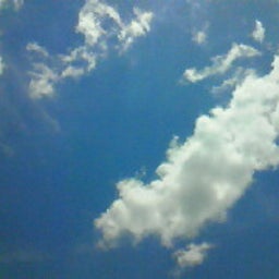 ☆春夏秋冬ぃぃﾄｺ日記☆-201005171303000.jpg