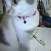今日も鏡で笑顔の練習の画像