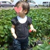 いちご大好き（＾＾）ｖの画像