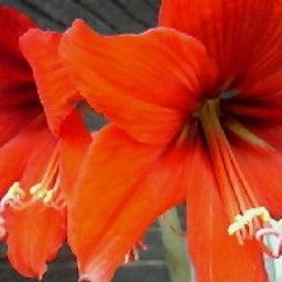 ☆春夏秋冬ぃぃﾄｺ日記☆-201005251300000.jpg