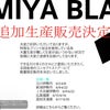 BUDDYZ 2010 ROLLING STONES COLLABORATIONの画像