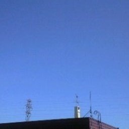 かわうそくろこ