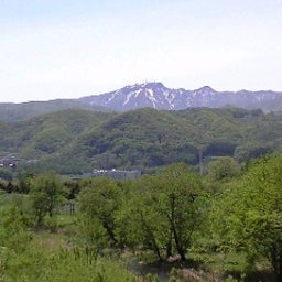 かわうそくろこ-100529_1038~0001.jpg