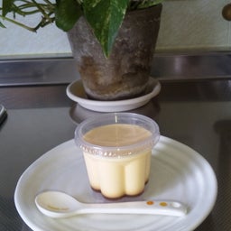 mamakoの気まぐれ日記