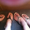 2010/05/29の画像